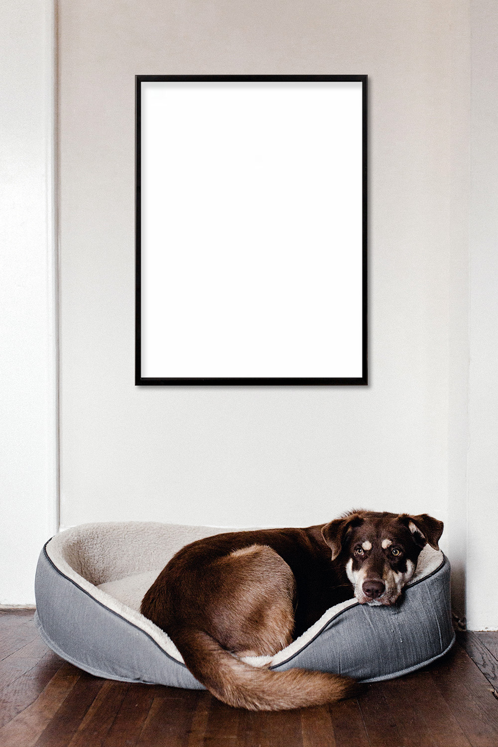 19-home-wall-poster-mockup